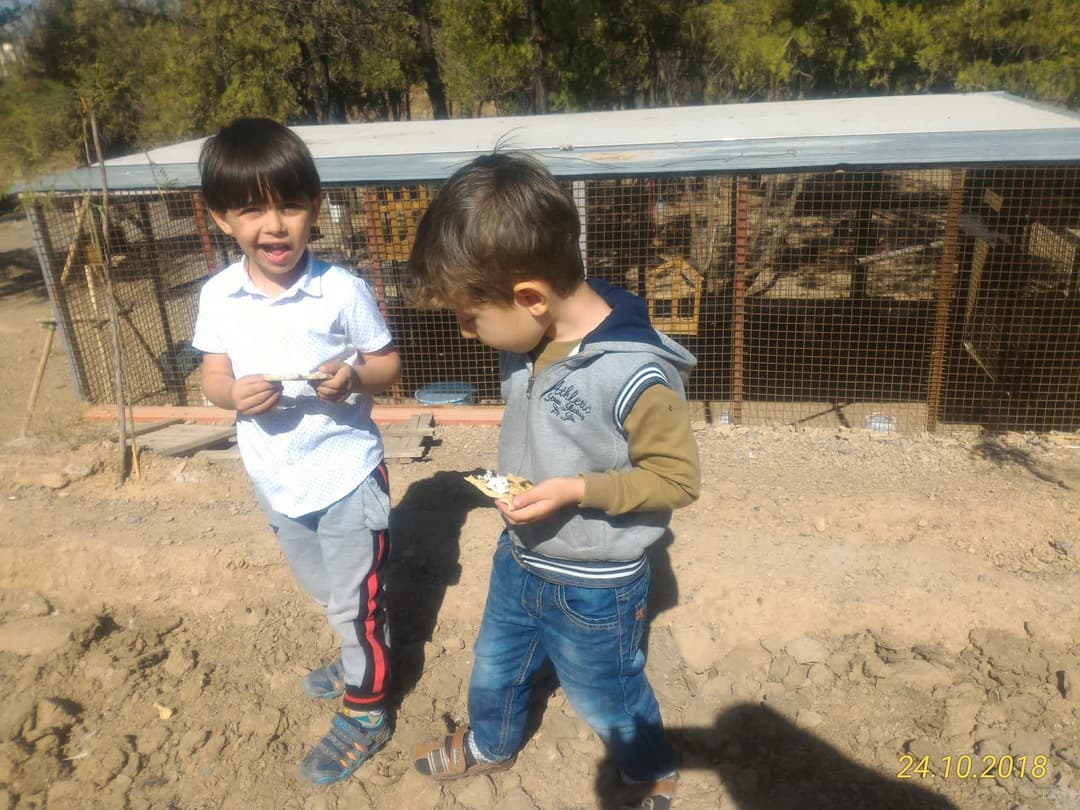 تصویر مقاله
