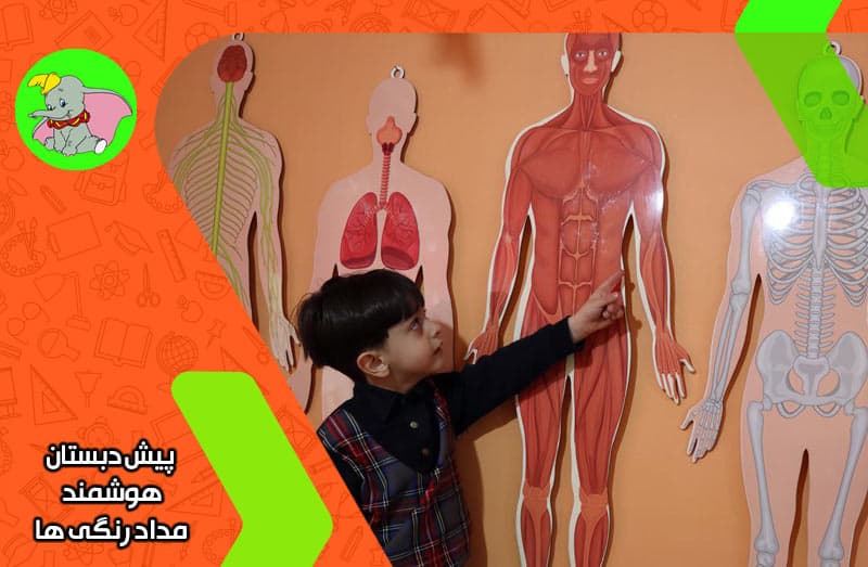 پیش دبستان هوشمند مداد رنگی ها