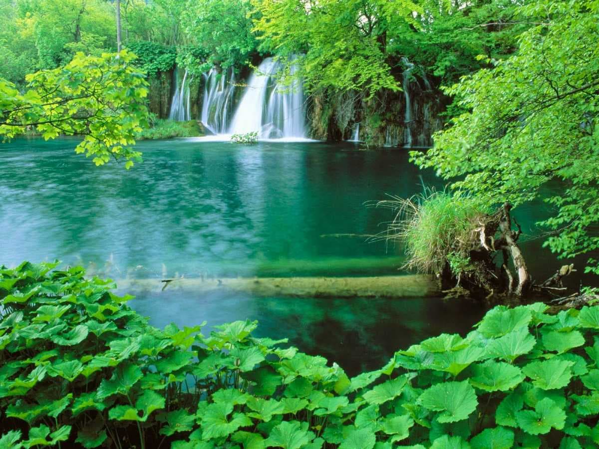 بازگشایی مدارس در 1400